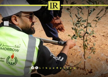Libya Aims to Plant One Million Trees by 2026