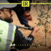 Libya Aims to Plant One Million Trees by 2026