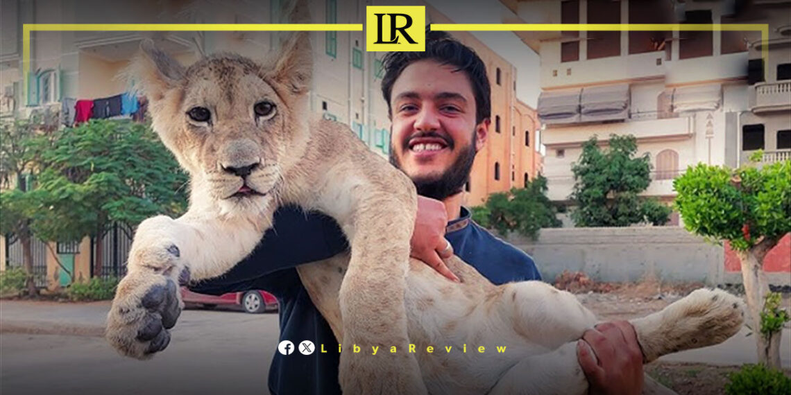 Public Outrage as Wild Animal Attacks Multiply in Libya