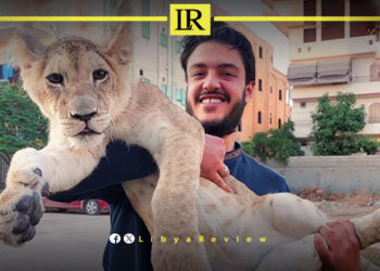 Public Outrage as Wild Animal Attacks Multiply in Libya