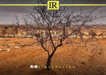 IOM Report Reveals How Climate Change Fuels Migration Across Libya