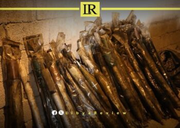 Libyan Army Targets Criminal Hideouts in the South