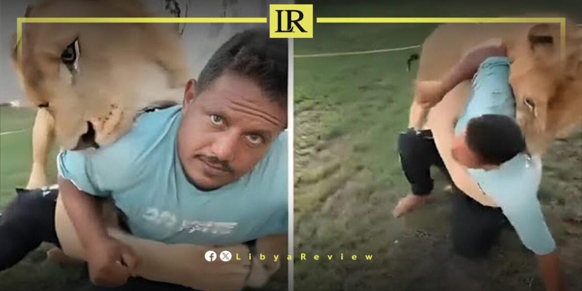 Libyan Man Detained for Using Lion to Terrify Workers