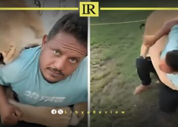 Libyan Man Detained for Using Lion to Terrify Workers