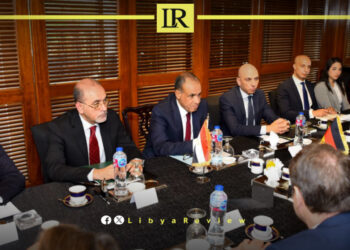 Egypt & Germany Reaffirm Support for Libyan-Led Political Solution