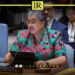 UN Special Representative to Libya Hanna Tetteh