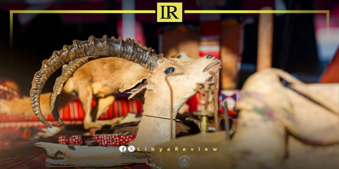 Benghazi Celebrates Second Edition of Libya’s Heritage Carnival