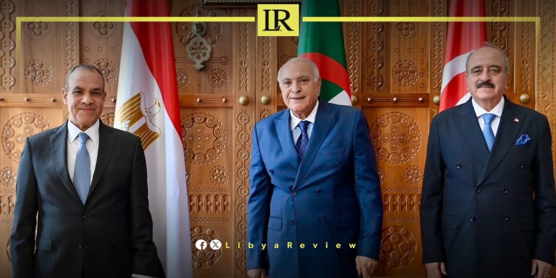 Egypt Reaffirms Support for Libyan-Led Political Solution