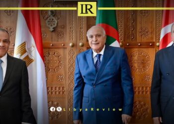 Egypt Reaffirms Support for Libyan-Led Political Solution