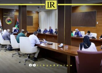 Libya & WHO Review Expansion of National Digital Health System