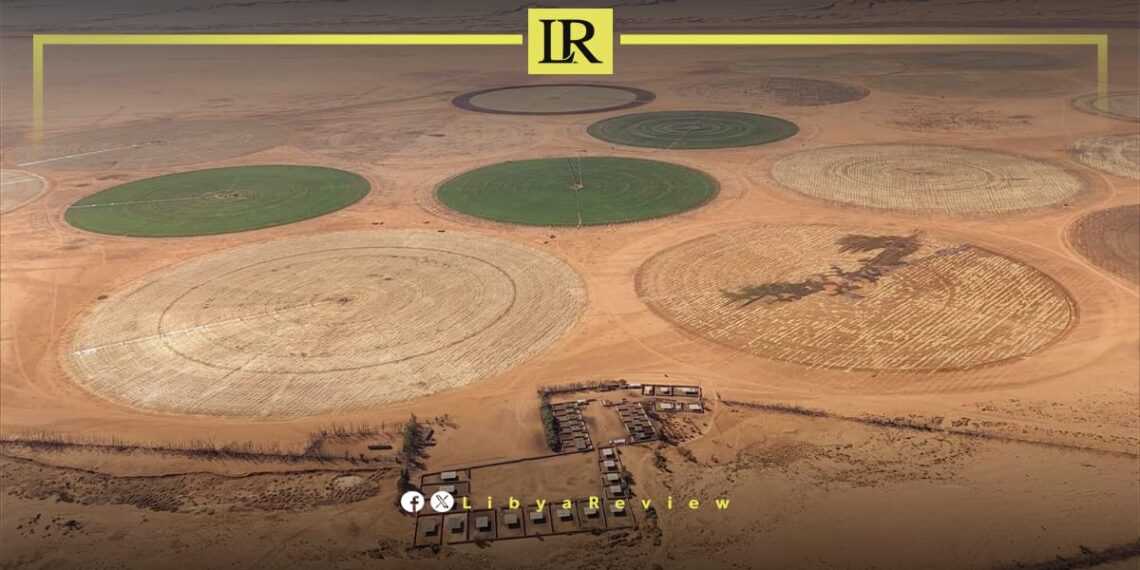 Libya Expands Agricultural Project to Boost Food Security