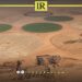 Libya Expands Agricultural Project to Boost Food Security