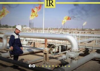 Economic Expert Urges Libya to Expand Non-Oil Revenue Streams