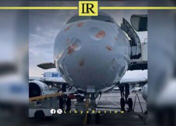 Bird Strike Cancels Libya’s Berniq Airways Flight from Tripoli to Cairo