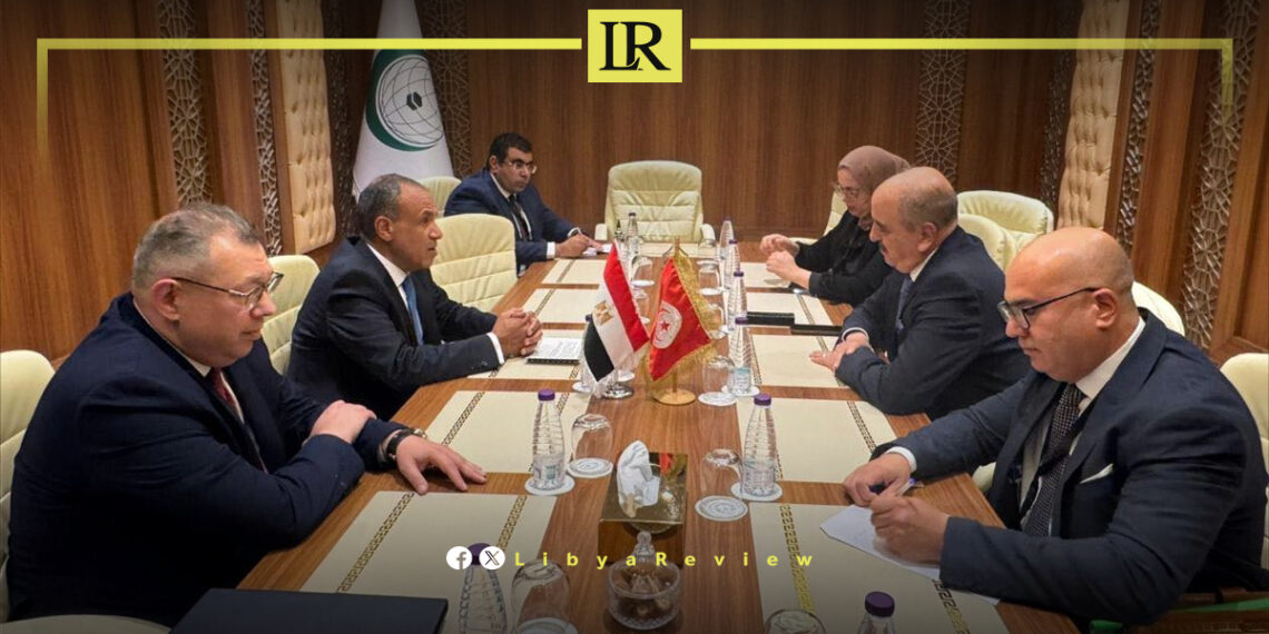 Egypt Calls for Withdrawal of Foreign Forces & Mercenaries From Libya