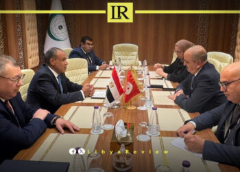 Egypt Calls for Withdrawal of Foreign Forces & Mercenaries From Libya