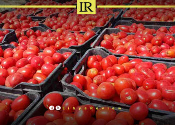 Libya Orders Market Crackdown Over Rising Tomato Prices