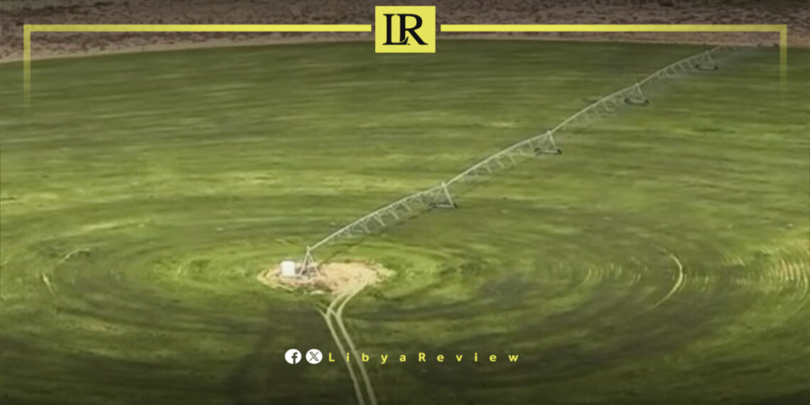 Libya Eyes Agricultural Revival as Major Sirte Project Advances