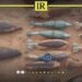 Libyan Forces Remove Unexploded Ordnance in Sabha Operation