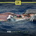 Hope Turns to Horror: Dozens Missing After Boat Capsizes Off Libya