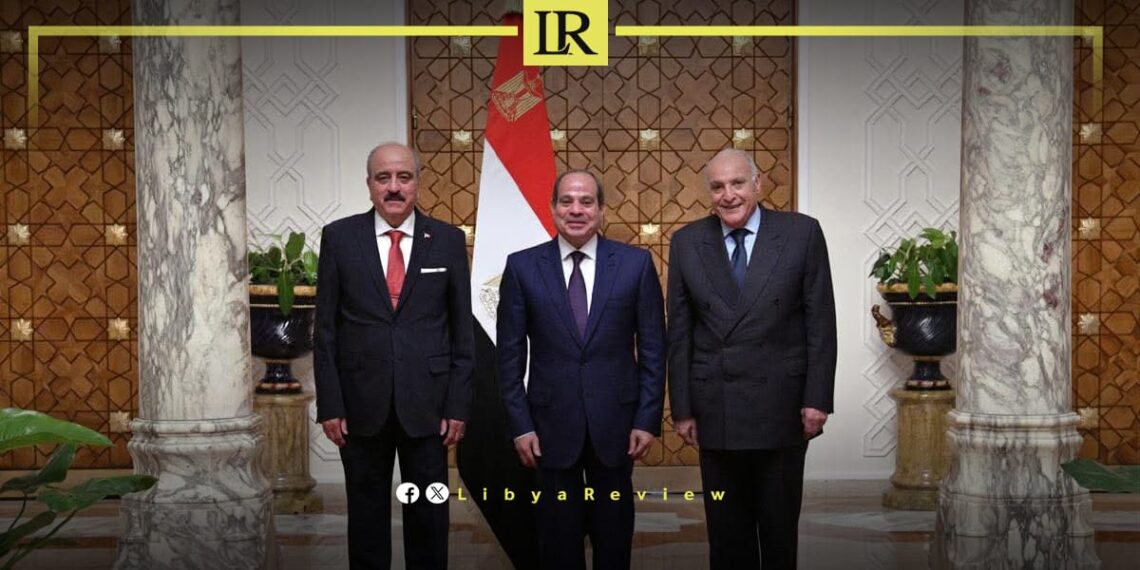 Egypt Calls for Peaceful Political Settlement in Libya