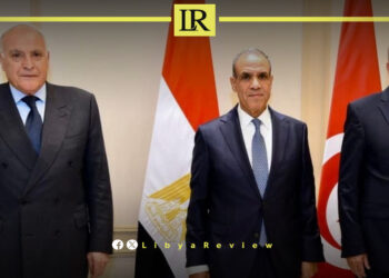 Egypt & Algeria & Tunisia Reject Foreign Interference in Libya