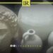 Libyan Authorities Seize Suspected Historical Artefacts in Anti-Trafficking Raid
