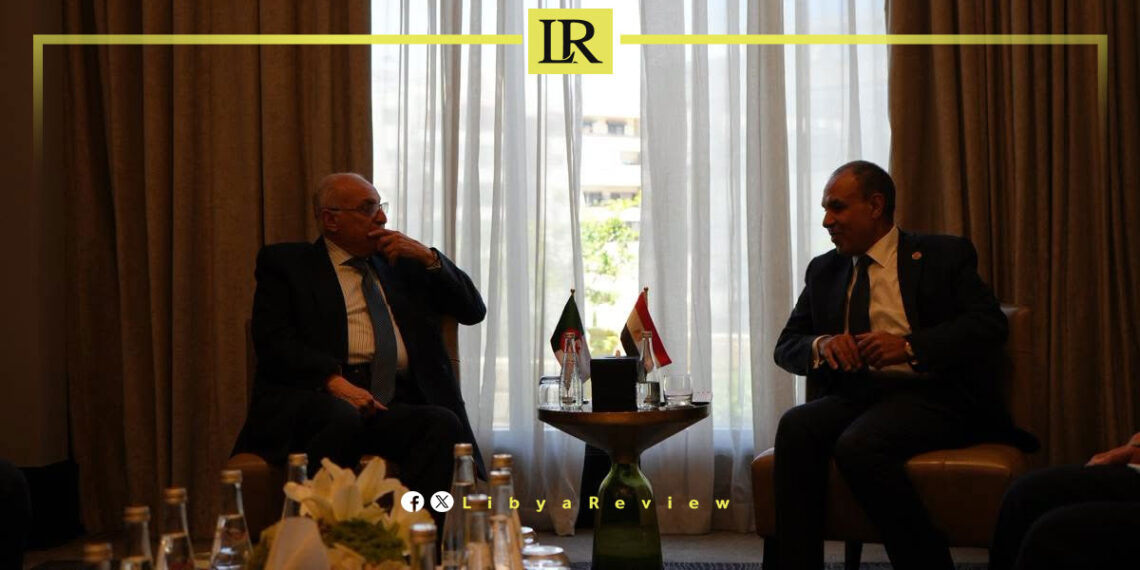 Egypt's Foreign Minister Reaffirms Support for Libya’s Stability & Unity
