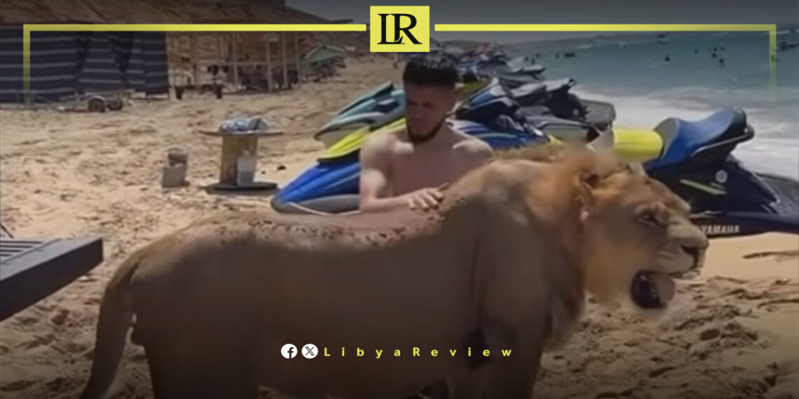 Public Outcry After Lion Appears on Crowded Libya Beach