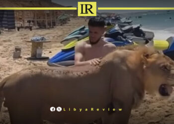 Public Outcry After Lion Appears on Crowded Libya Beach